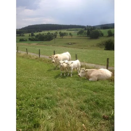 Heide Im Haus Kaiser Comfortable