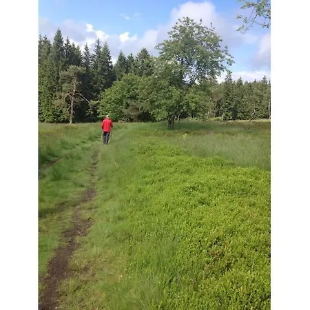 Heide Im Haus Kaiser Comfortable Lejlighed Winterberg