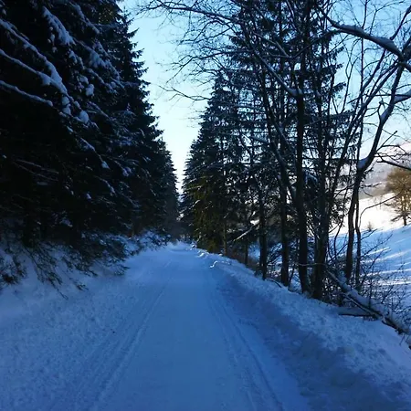 Heide Im Haus Kaiser Comfortable Apartment Winterberg