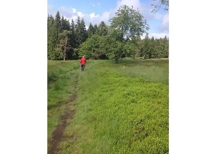 Heide Im Haus Kaiser Comfortable Lägenhet Winterberg