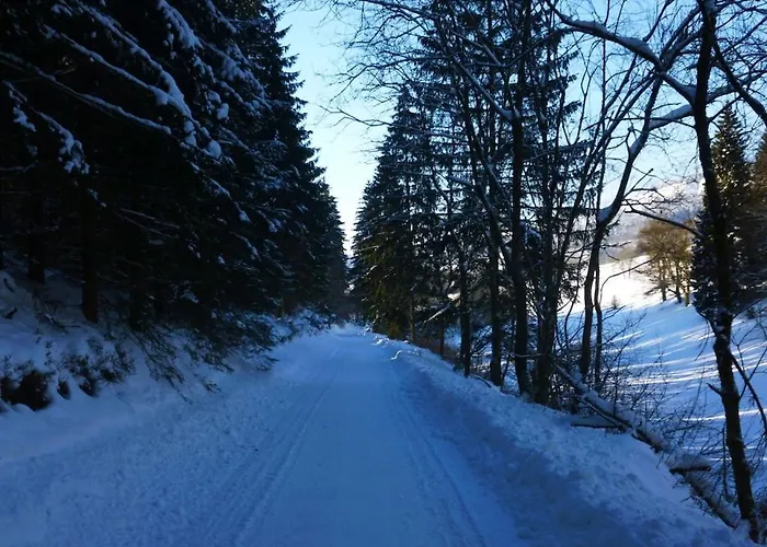 Heide Im Haus Kaiser Comfortable Lägenhet Winterberg